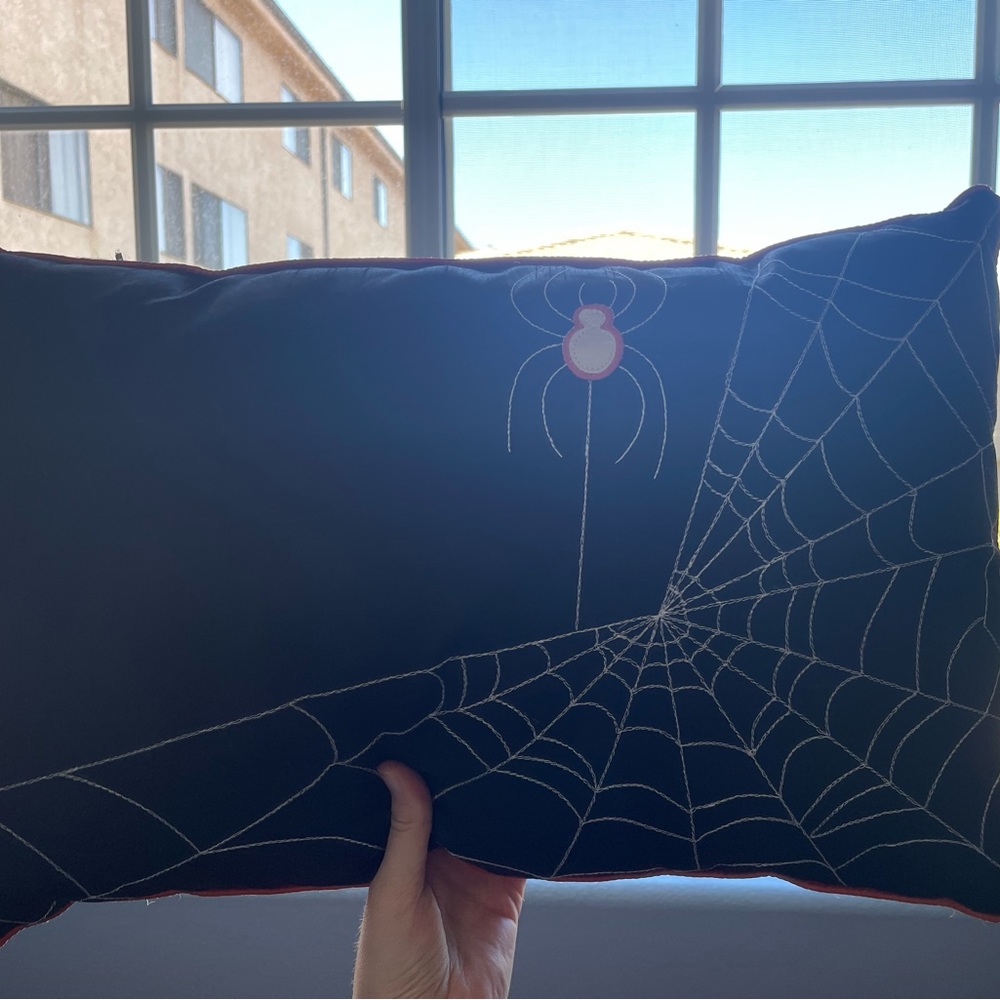 Spider pillow
